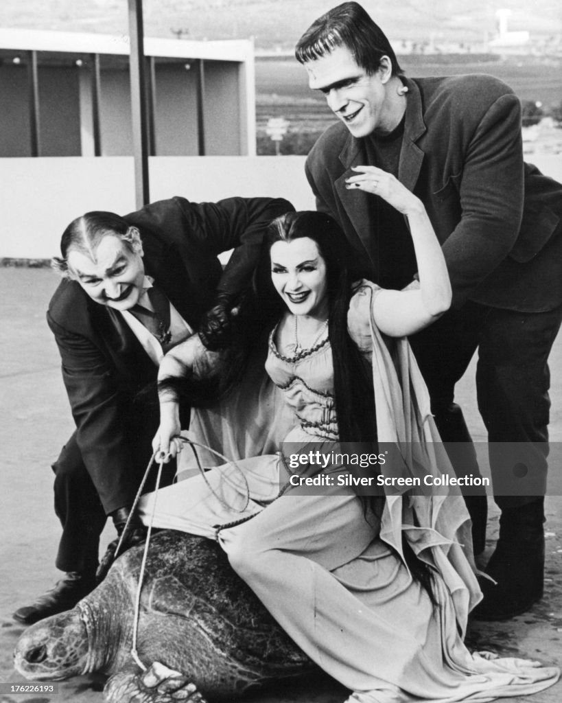 Munster Rides Turtle
