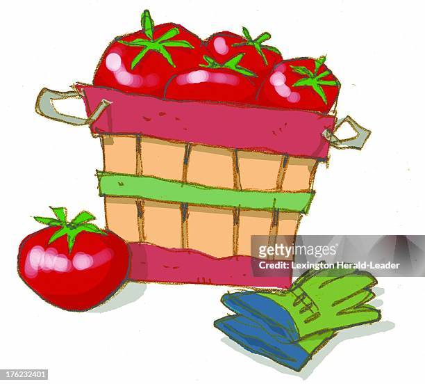 Dpi Chris Ware illustration of a bushel basket full of tomatoes.