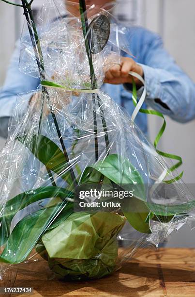 wrapping up a thoughtful gift - cellophane stock pictures, royalty-free photos & images