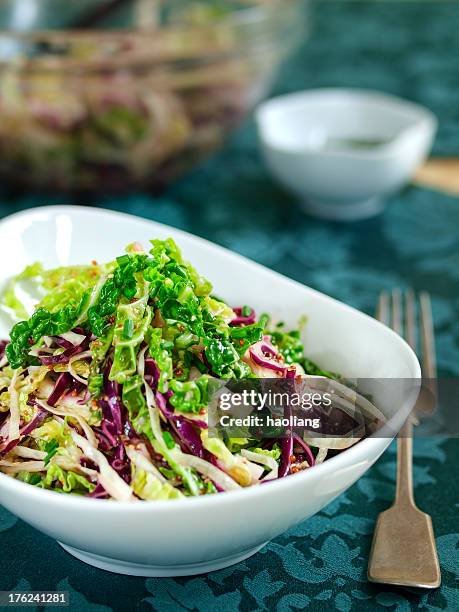 four cabbage coleslaw - bok choy stock pictures, royalty-free photos & images