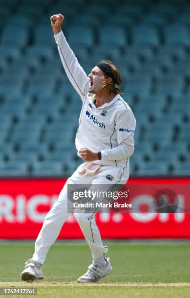 Cory Rocchiccioli of Western Australia celebrates the wicket of Henry Hunt of the Redbacks during the Sheffield Shield match between South Australia...