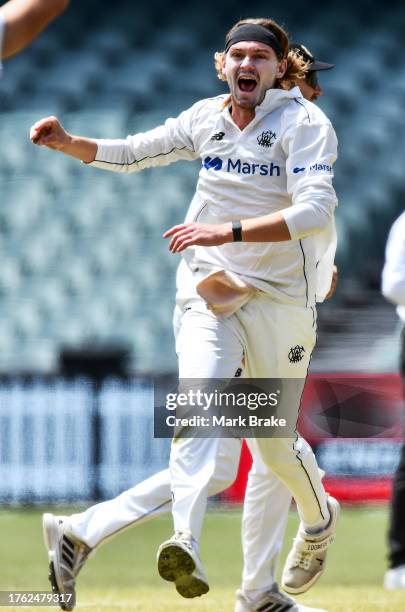 Cory Rocchiccioli of Western Australia celebrates the wicket of Jake Carder of the Redbacks during the Sheffield Shield match between South Australia...