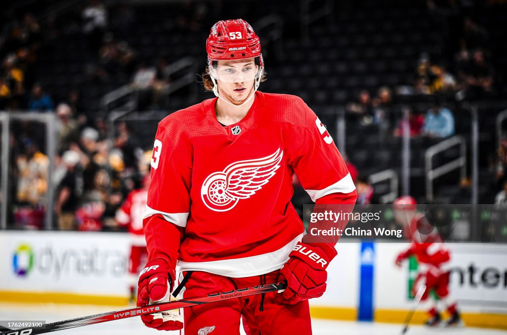 Detroit Red Wings v Boston Bruins