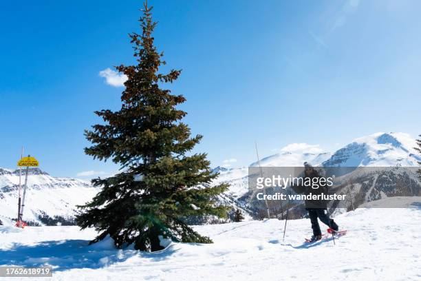 schneeschuhwandern im skigebiet lake louise, kanada - lake louise skigebiet stock-fotos und bilder