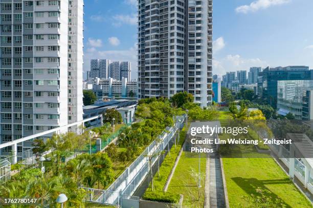 roof top garden in singapore suburb - singapore stock pictures, royalty-free photos & images