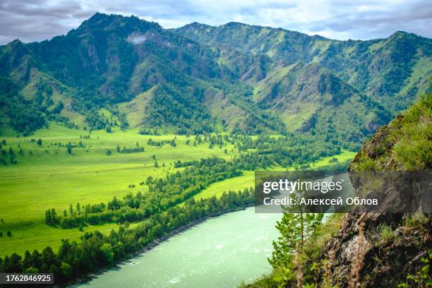 view of the katun river in the altai. mountain valley che-chkysh. summer landscape. turquoise river, mountains and green meadows - verdigris river bildbanksfoton och bilder