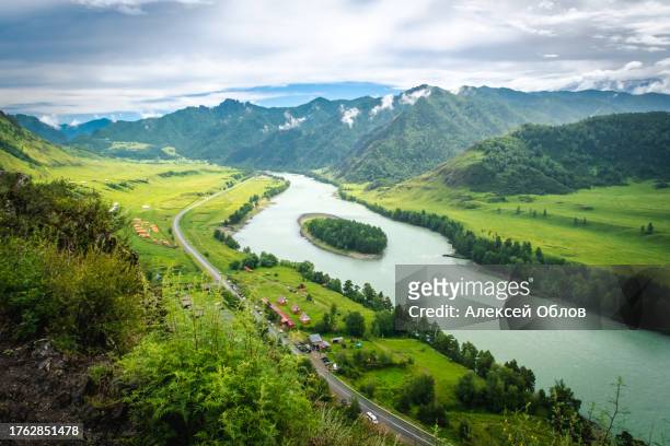 view of the katun river in the altai. mountain valley che-chkysh. summer landscape. turquoise river, mountains and green meadows - verdigris river bildbanksfoton och bilder