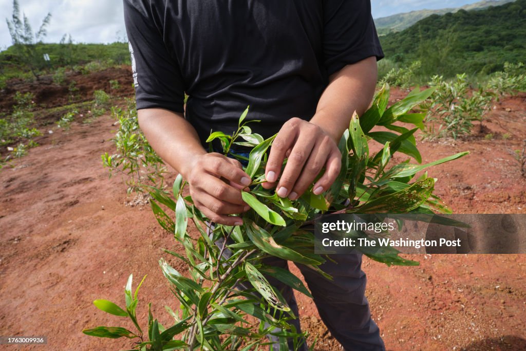 Mangilao, Guam - January 6:
Teddy Concepcion, the lead on the G