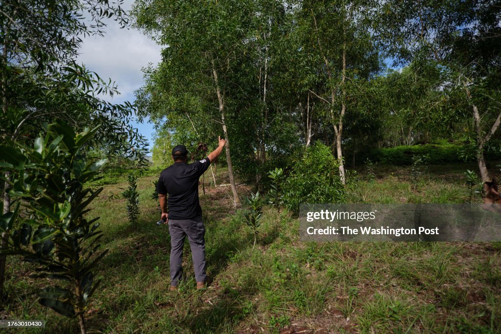 Mangilao, Guam - January 6:
Teddy Concepcion, lead on the GROW