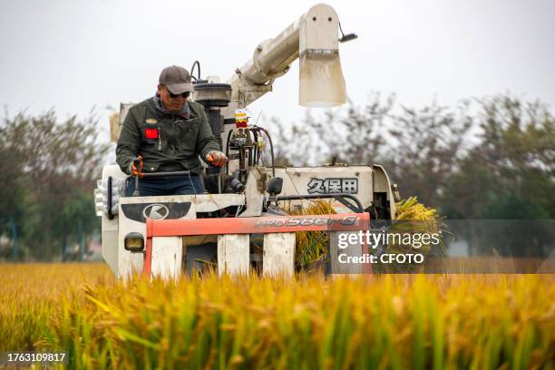 Farmer drives a farm machine to harvest rice in Zhai Zhuang village, Taizhou city, East China's Jiangsu province, Nov 4, 2023.