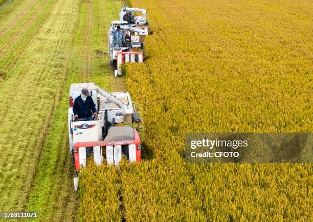 Farmers drive agricultural machinery to harvest rice in Zhai Zhuang village, Taizhou city, East China's Jiangsu province, Nov 4, 2023.