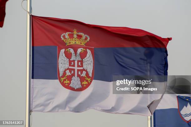 The national flag of the Republic of Serbia as a participating country at the 12th St. Petersburg International Gas Forum .