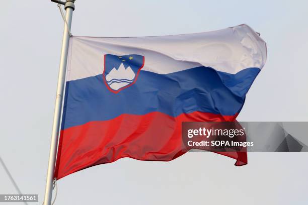 The national flag of the Republic of Slovenia as a participating country at the 12th St. Petersburg International Gas Forum .