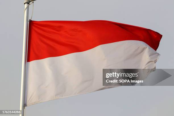 The national flag of the Republic of Indonesia as a participating country at the 12th St. Petersburg International Gas Forum .