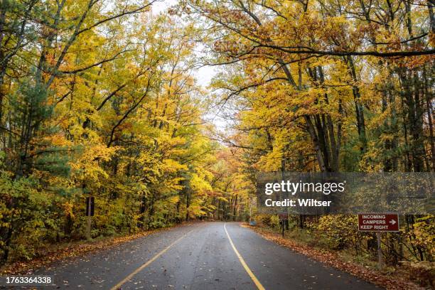 higgins lake south state park autumn entrance - south park stock pictures, royalty-free photos & images