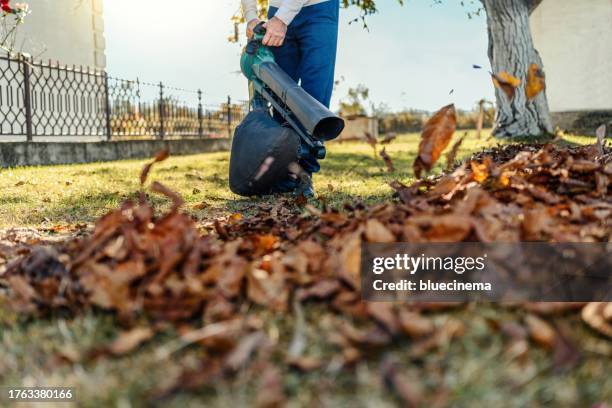mature man in yard backyard using leaf blower - leaf blower stock pictures, royalty-free photos & images