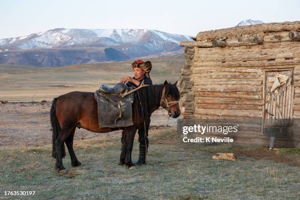 kazakh eagle hunter preparing his horse - binnen mongolië stockfoto's en -beelden