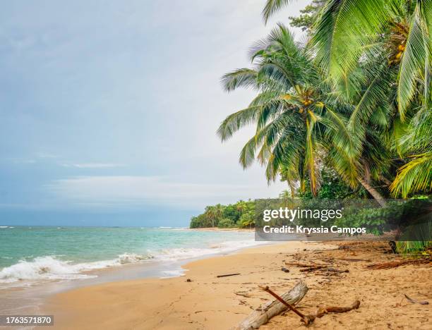 caribbean dream: picture-perfect beachscape in costa rica - cahuita stock-fotos und bilder