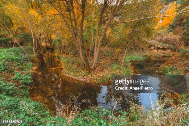 a meander built by a stream - autumn landscape. - oxbow bend stock pictures, royalty-free photos & images