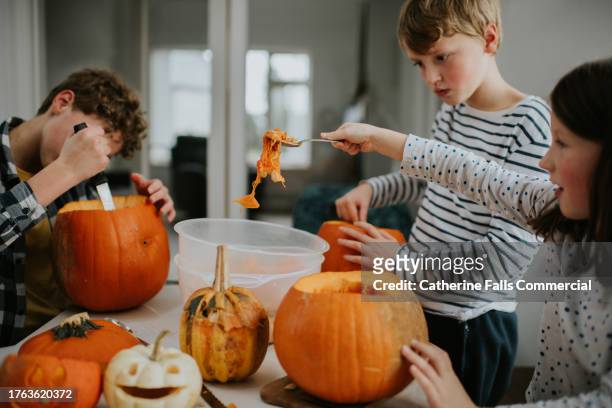 three children sit around a table in a domestic environment and make jack o' lanterns out of large pumpkins - handful stock pictures, royalty-free photos & images
