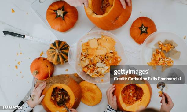 top down image of children scooping the insides out of pumpkins - carving food stock pictures, royalty-free photos & images
