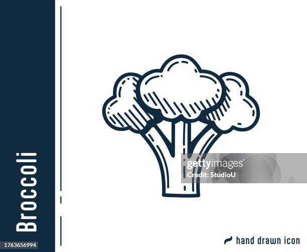 broccoli hand drawn single icon design. - broccoli isolated stock illustrations