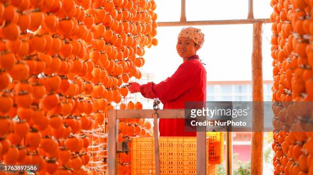 Villager dries a persimmon cake in Weinan, Shaanxi province, China, November 4, 2023.