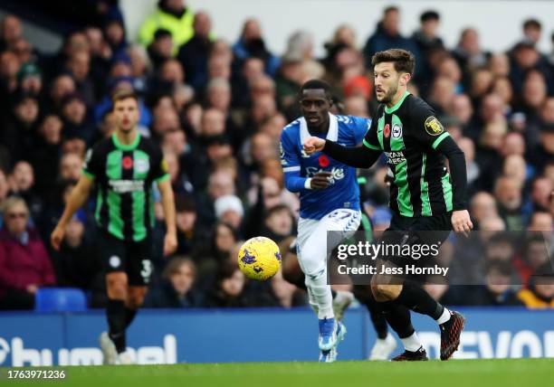 Adam Lallana of Brighton & Hove Albion runs with the ball during the Premier League match between Everton FC and Brighton & Hove Albion at Goodison...