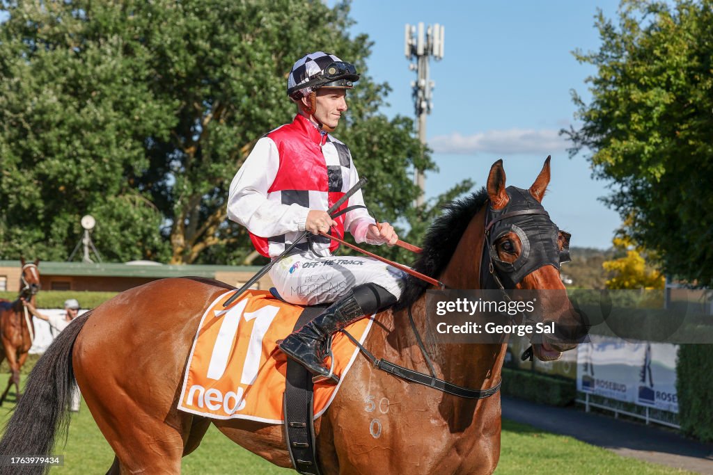 Mcleod Trees Handicap