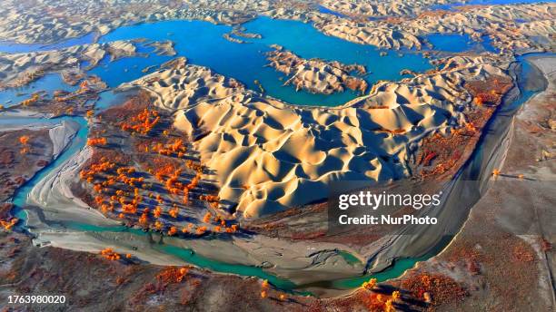 Aerial photo taken on Nov 4, 2023 shows the blooming Populus Euphratica Forest in the Luoburen village scenic area in Bazhou, Northwest China's...