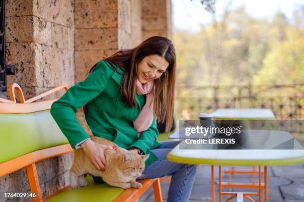 a young woman in the cafe in the company of a friendly cat - lerexis stock pictures, royalty-free photos & images