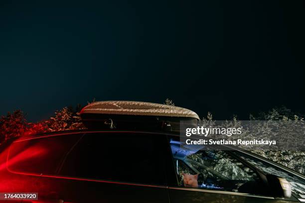 car with auto box on the roof on the road surrounded by forest at night - car roof box stock-fotos und bilder