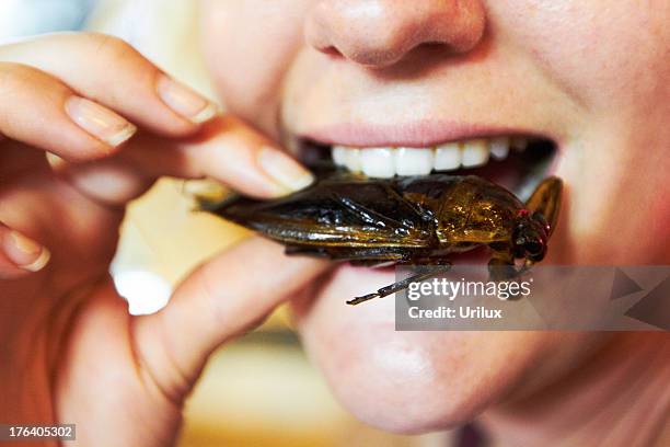 trying some traditional thai cuisine - cockroach 個照片及圖片檔