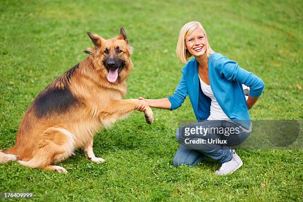 shaking paws with my best friend - german shepherd sitting stock pictures, royalty-free photos & images