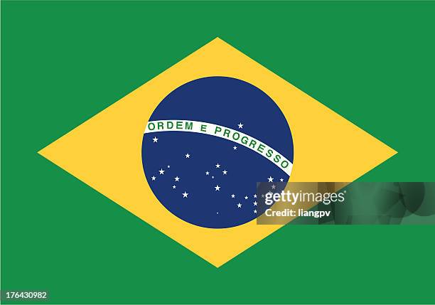 stockillustraties, clipart, cartoons en iconen met flag of the brazil - flags