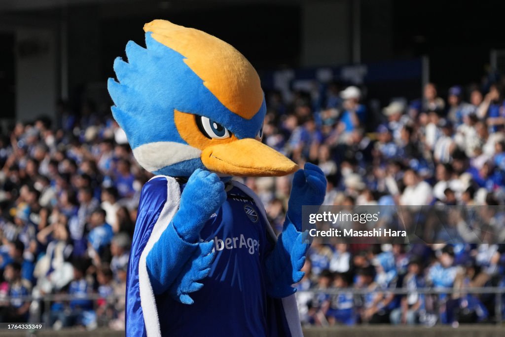 FC Machida Zelvia v Zweigen Kanazawa - J.LEAGUE Meiji Yasuda J2