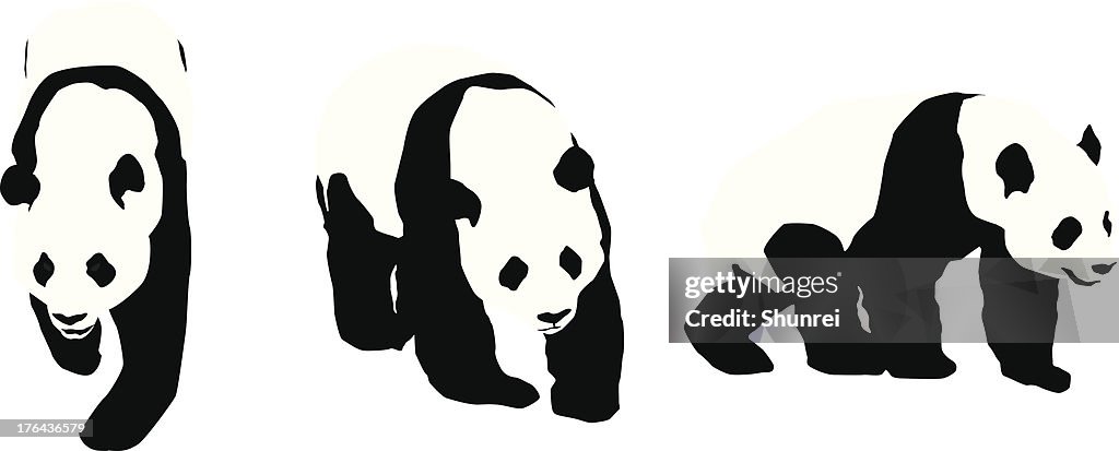 Panda-Look