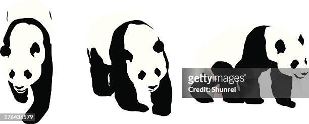 panda silhouettes - panda stock illustrations