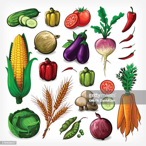 stockillustraties, clipart, cartoons en iconen met vector vegetables set - complete - tomato stock illustrations