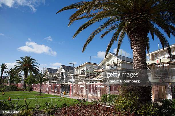 Houses stand under construction behind palm trees in the suburb of Hobsonville Point in Auckland, New Zealand, on Tuesday, Aug. 13, 2013. New...