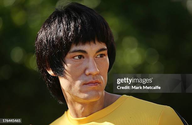 28 Bruce Lee Wax Figure Arrives In Sydney To Mark 40th Anniversary Of Actors Death Photos and Premium High Res Pictures - Getty Images 28 Bruce Lee Wax Figure Arrives In Sydney To Mark 40th Anniversary Of Actors Death Photos and Premium High Res Pictures - Getty Images