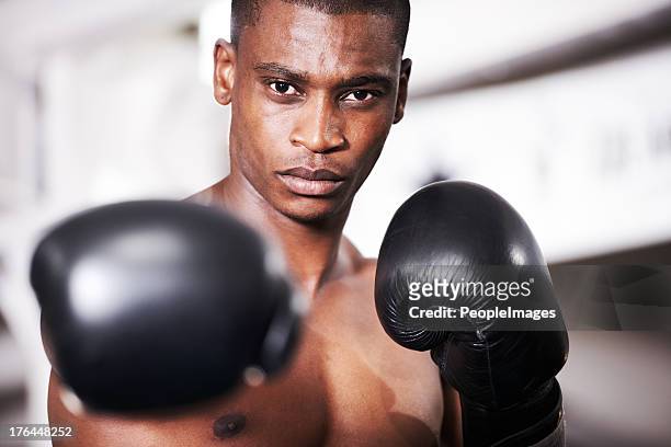 put 'em up - fighter portraits 2013 stock pictures, royalty-free photos & images