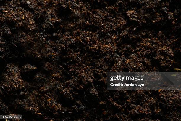 fertile garden soil. background texture - sol phénomène naturel photos et images de collection