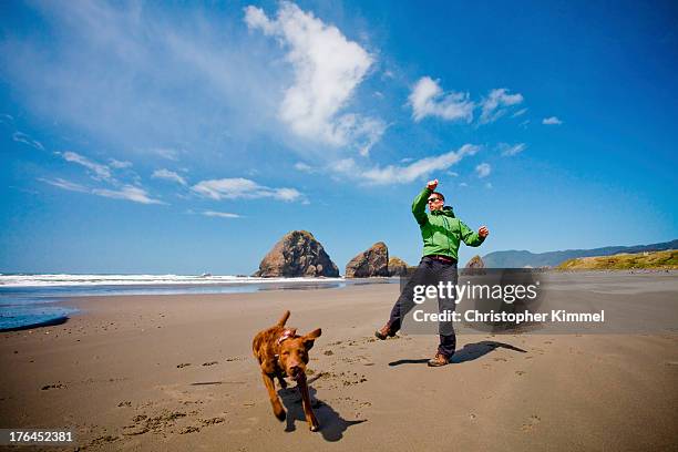 fetch - pistol river state park stock pictures, royalty-free photos & images