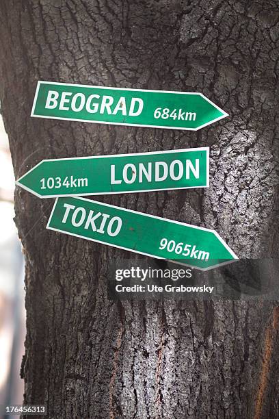 Direction Tree Sign 7,987 Arrow Tree Stock Photos, High-Res Pictures, and Images - Getty Images