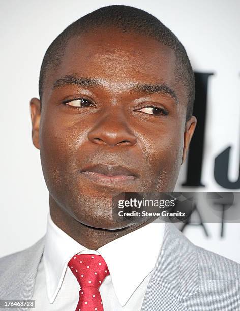 David Oyelowo arrives at the "Lee Daniels' The Butler" - Los Angeles Premiere at Regal Cinemas L.A. Live on August 12, 2013 in Los Angeles,...