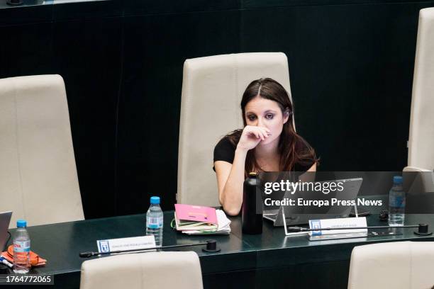 The delegate of Culture, Tourism and Sport of the Madrid City Council, Andrea Levy, during the plenary session of the Madrid City Council, at the...