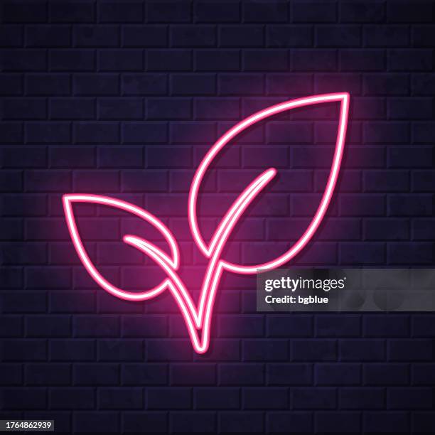 leaves. glowing neon icon on brick wall background - tea leaf vector stock illustrations