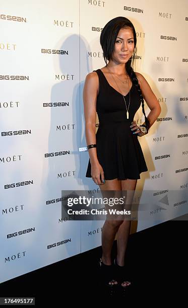 Singer Jhene Aiko attends Moet Rose Lounge Los Angeles hosted by Big Sean at The London West Hollywood on August 13, 2013 in West Hollywood,...