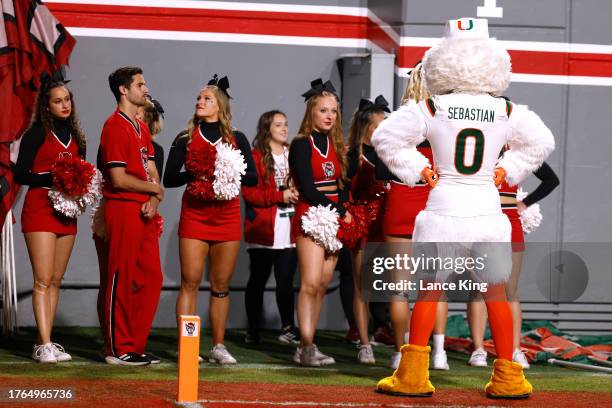 Sebastian the Ibis, mascot of the Miami Hurricanes, interacts with cheerleaders of the NC State Wolfpack during the game at Carter-Finley Stadium on...